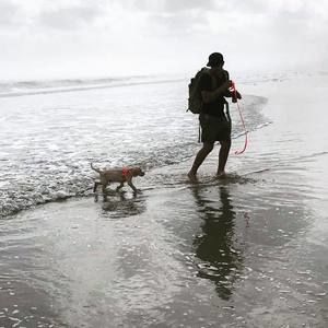 Meet your Posher, Steven